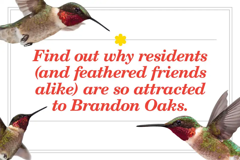 Find out why residents (and feathered friends alike) are so attracted to Brandon Oaks